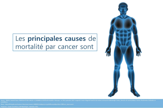 Les principales causes de mortalité par cancer tous sexes confondus sont : le cancer du poumon (30 %), le cancer colorectal, le cancer du sein (7 %) et le cancer du pancréas (6 %). Ces cinq sièges de cancer représentent à eux seuls 59 % de tous les cancers.
