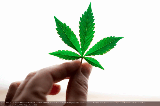 En octobre 2021, 18 % des adultes montérégiens consommait du cannabis. 