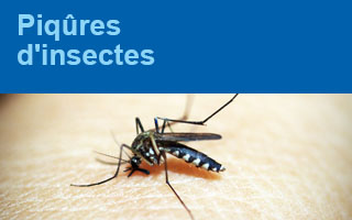 Piqûres d'insectes