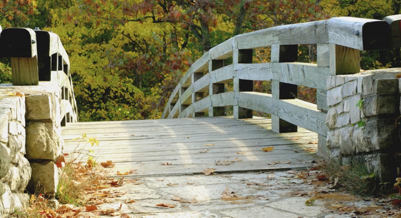 Pont