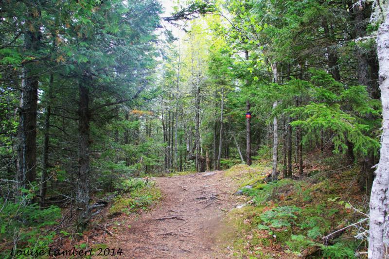 Sentier dégagé