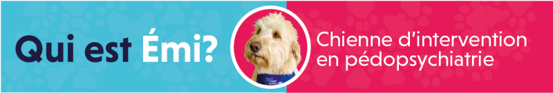 Émi chienne d'intervention