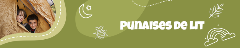 Punaises de lit