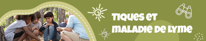 Tiques et maladie de Lyme