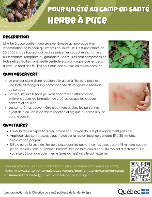Fiche pour un été au camp en santé - herbe à puce
