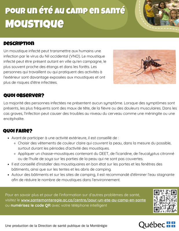 Fiche pour un été au camp en santé - moustique