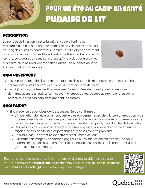 Fiche pour un été au camp en santé - punaise de lit